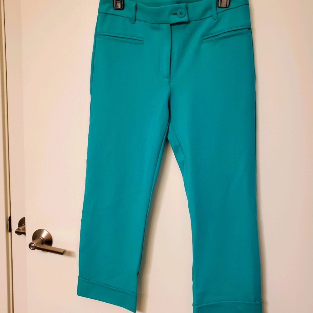 *SOLD*Betabrand Mint Green Capris